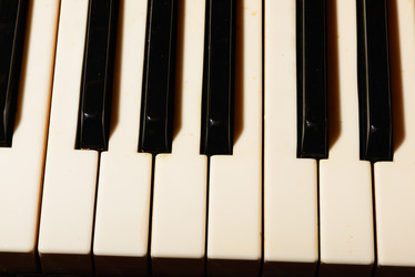 Similar image 19742578