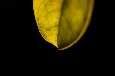 Similar image 19606973