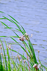 Similar image 19790356