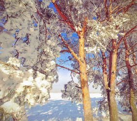 Similar image 19607388