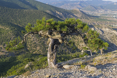 Similar image 19606811