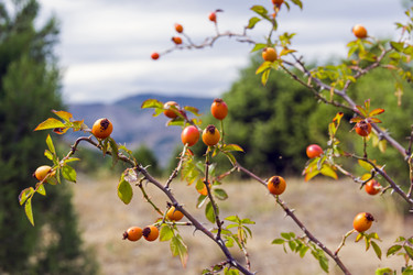 Similar image 19606815