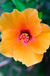 Similar image 19608239