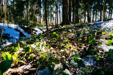 Similar image 19607615