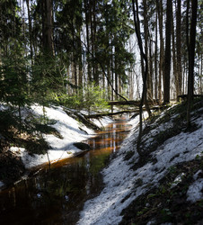 Similar image 19607618