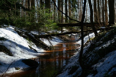 Similar image 19607622