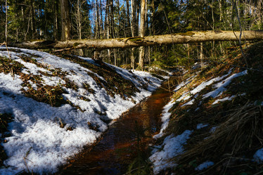 Similar image 19607631