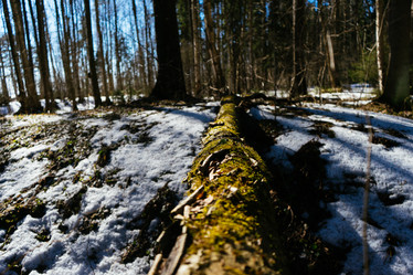 Similar image 19607662