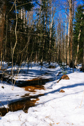 Similar image 19607726