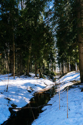 Similar image 19607728