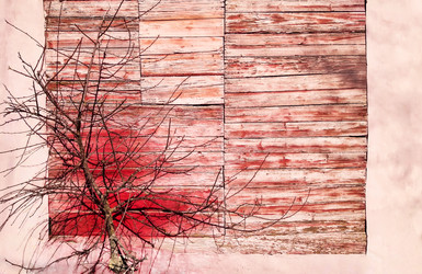 Similar image 19607578