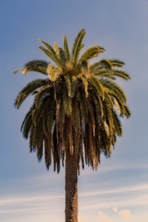 Similar image 19607209