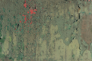 Similar image 19742508