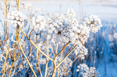 Similar image 19742892