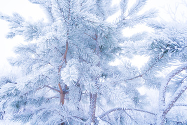 Similar image 19742885