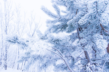 Similar image 19742889