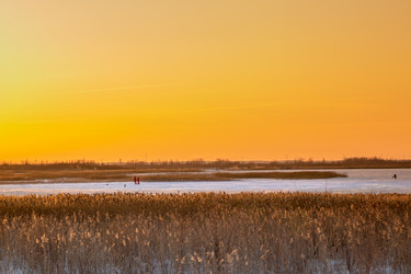 Similar image 19742940