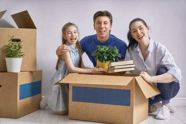 Similar image 19559612