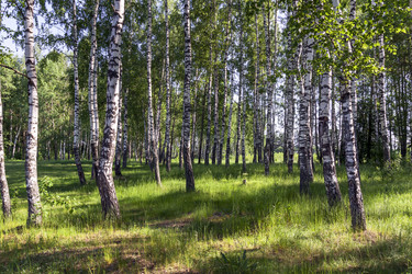 Similar image 19607736