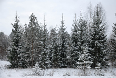 Similar image 19607345