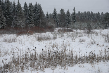 Similar image 19607372