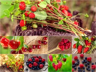 Similar image 19743306