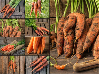 Similar image 19743320