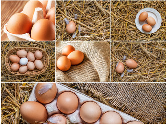 Similar image 19743362