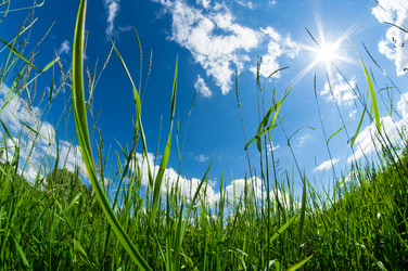 Similar image 19606765