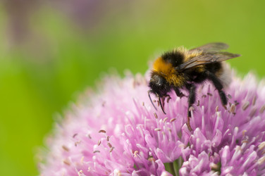 Similar image 19606769