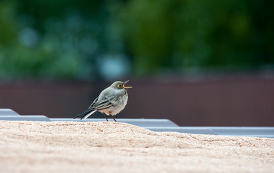 Similar image 19582663