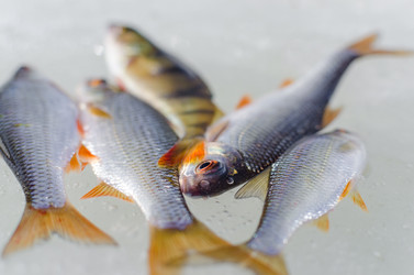 Similar image 19607374