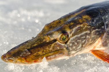 Similar image 19607395