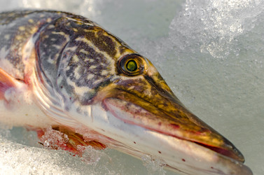 Similar image 19607400