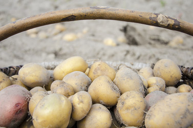 Similar image 19607403