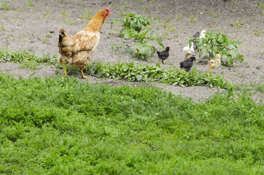 Similar image 19607405