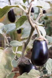 Similar image 19607434