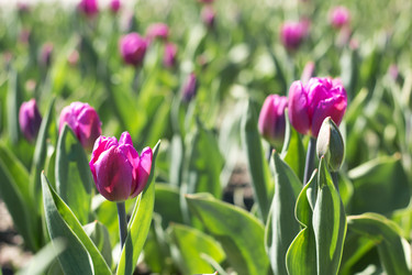 Similar image 19607438