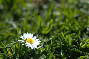 Similar image 19607440