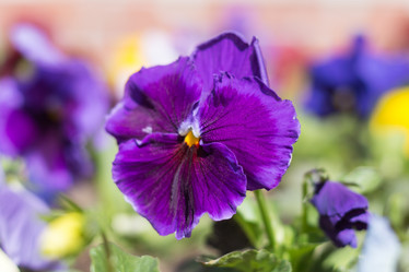 Similar image 19607441