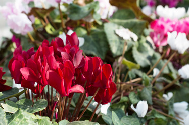 Similar image 19607443