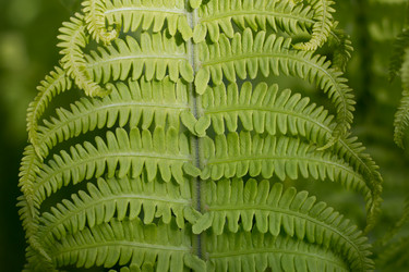 Similar image 19607444