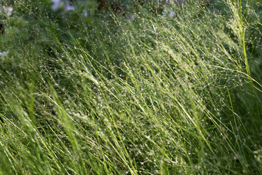 Similar image 19607450