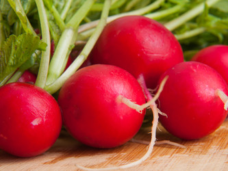 Similar image 19607452