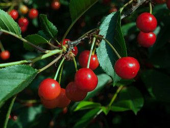 Similar image 19607457