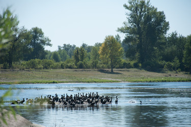 Similar image 19742254