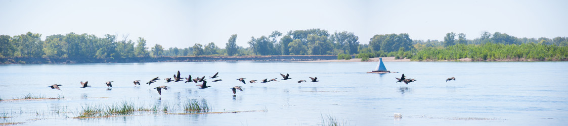 Similar image 19742255