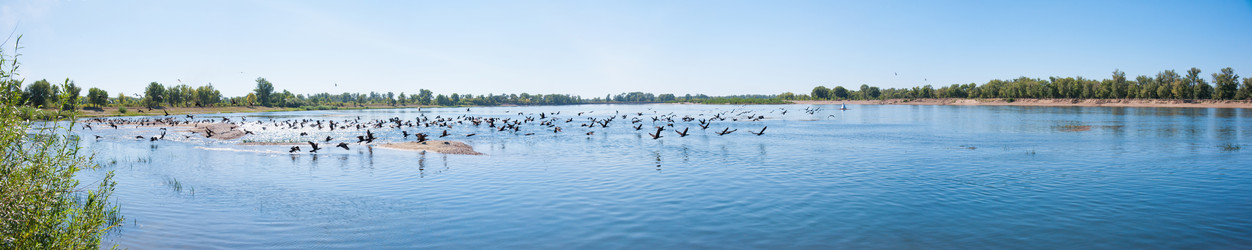 Similar image 19742257