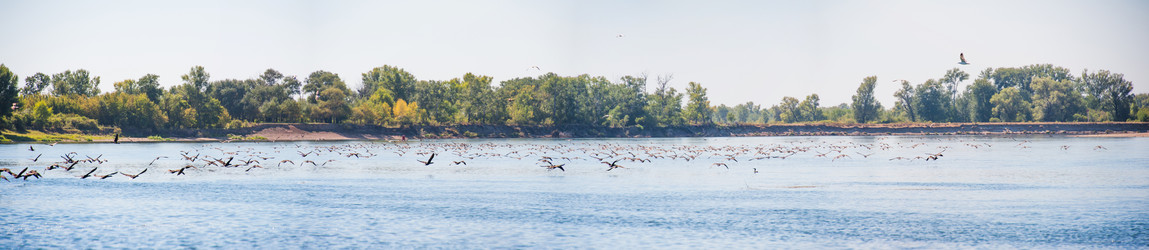 Similar image 19742258