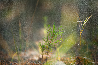 Similar image 19742216